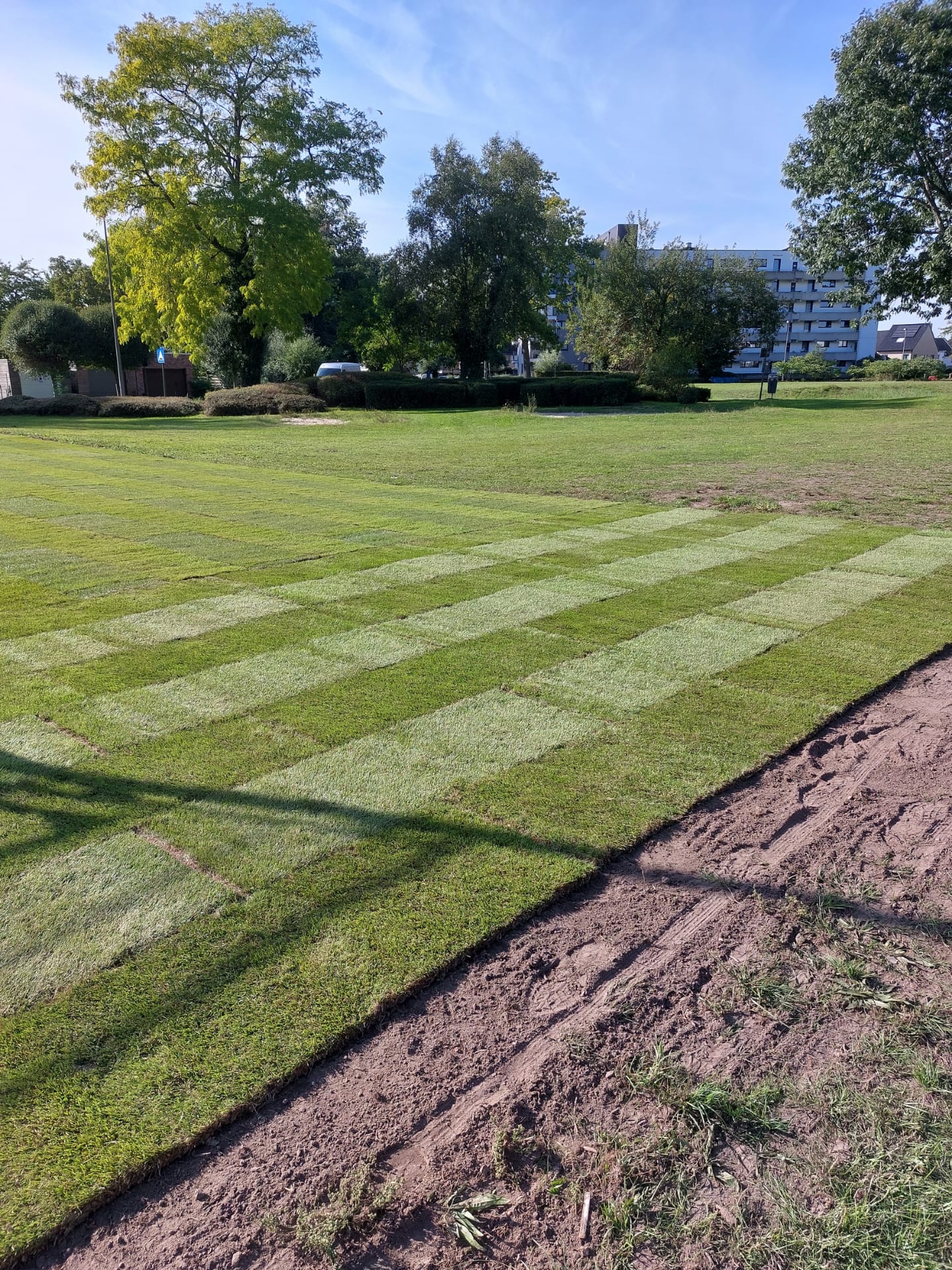 Graszoden leggen lokeren