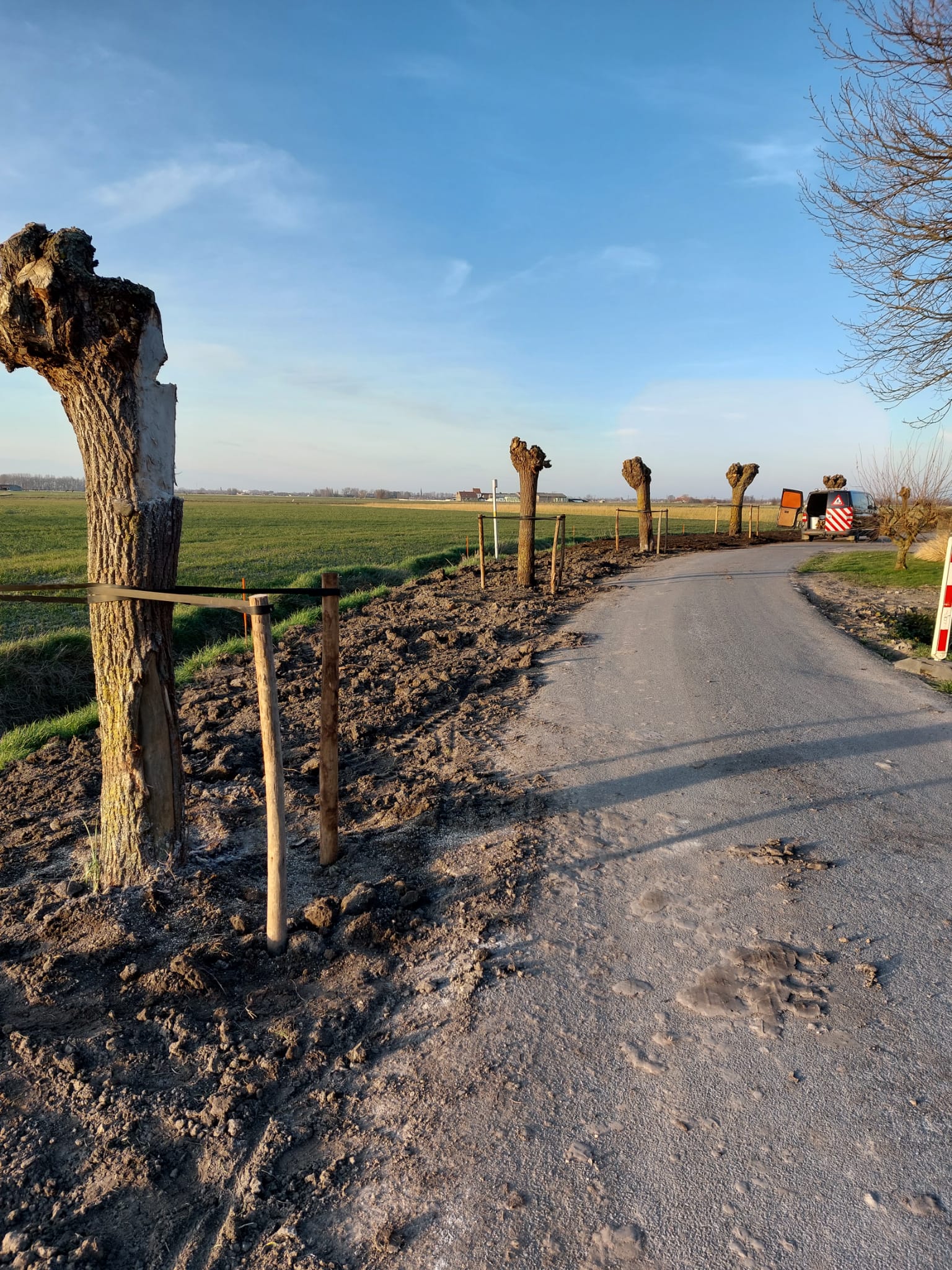 damme verplanten bomen